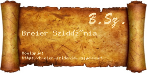 Breier Szidónia névjegykártya